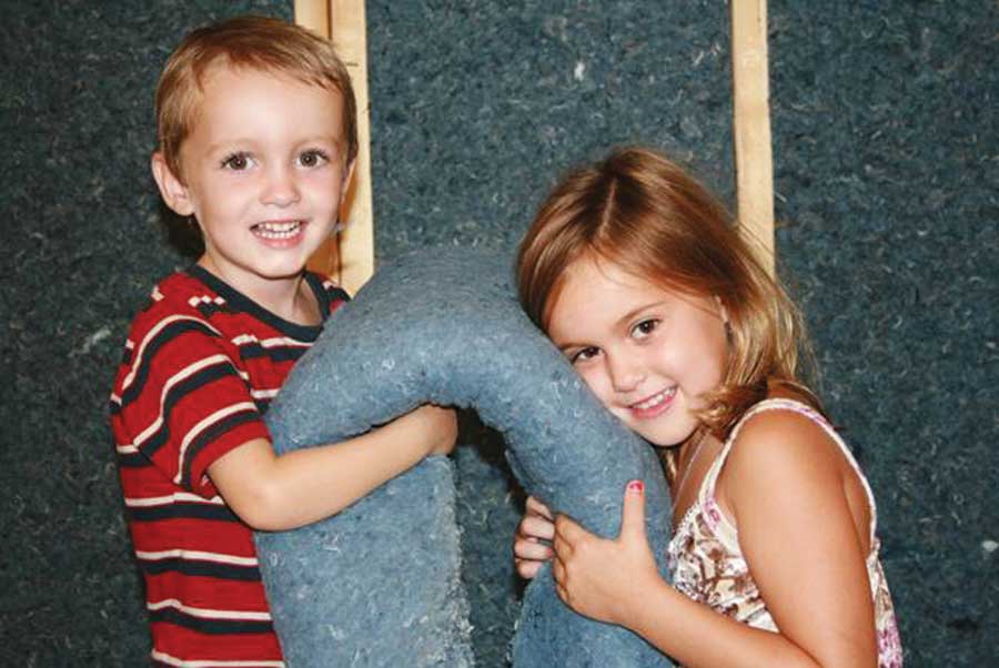 
Adding nontoxic insulation to your attic is an easy DIY project and could save a bundle.
